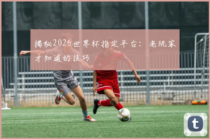揭秘2026世界杯指定平台：老玩家才知道的技巧